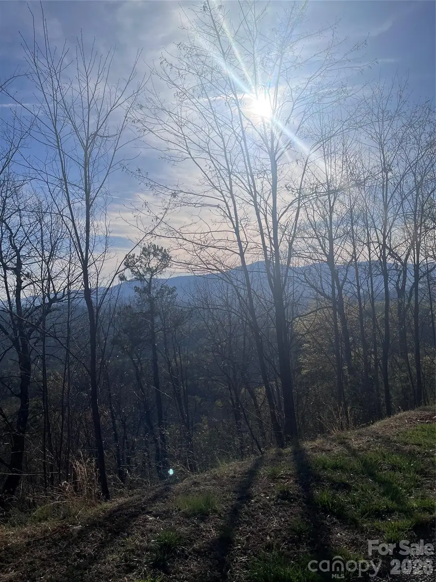 0 Golden Ridge Drive #131, Lake Lure, NC 28746 - #3