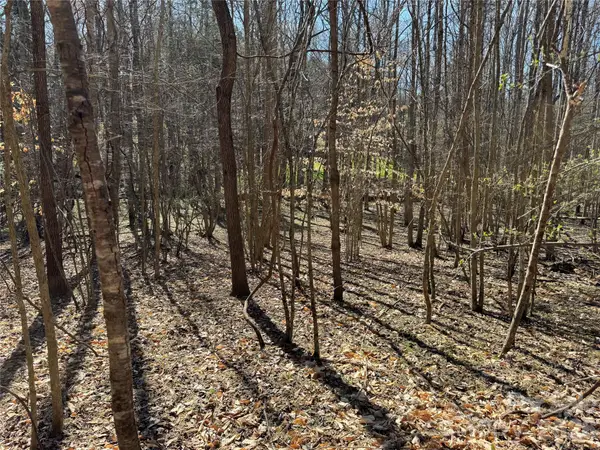 11490 King James Boulevard #2, Davidson, NC 28036