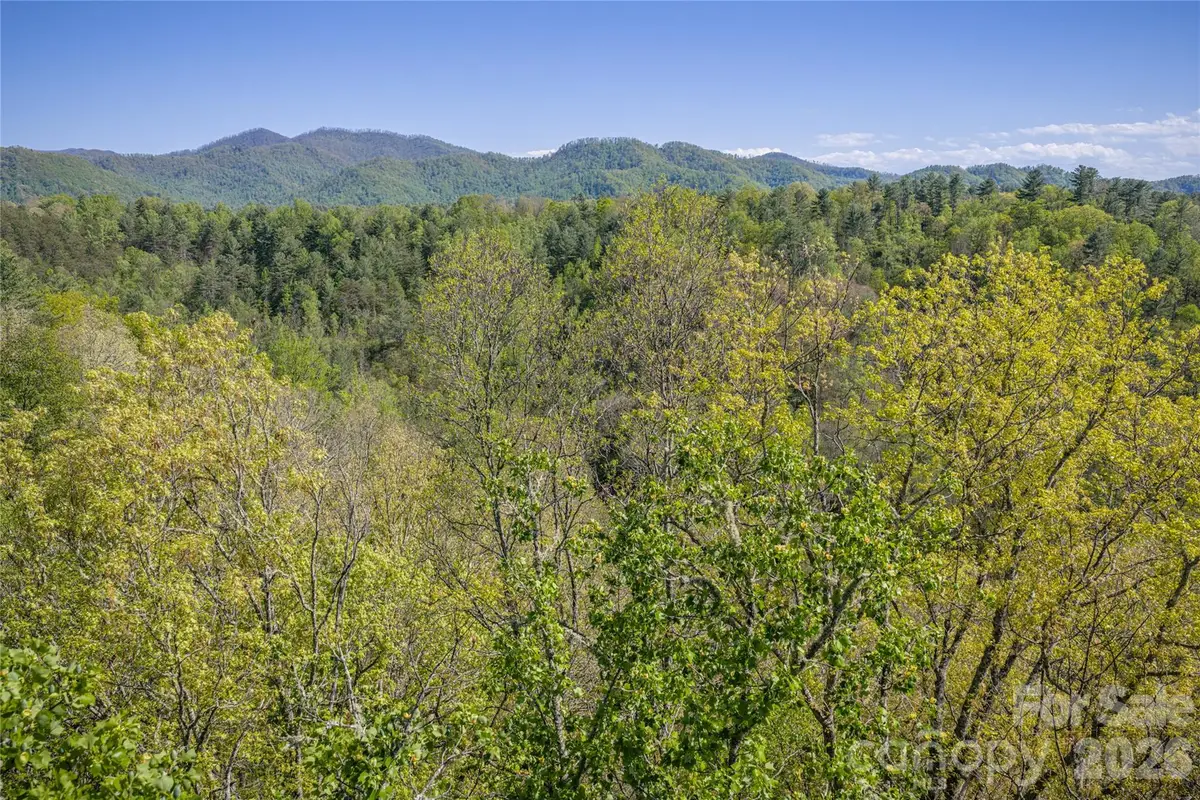 44 Marshbanks Ridge, Weaverville, NC 28787 - #1