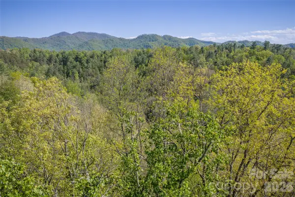 44 Marshbanks Ridge, Weaverville, NC 28787