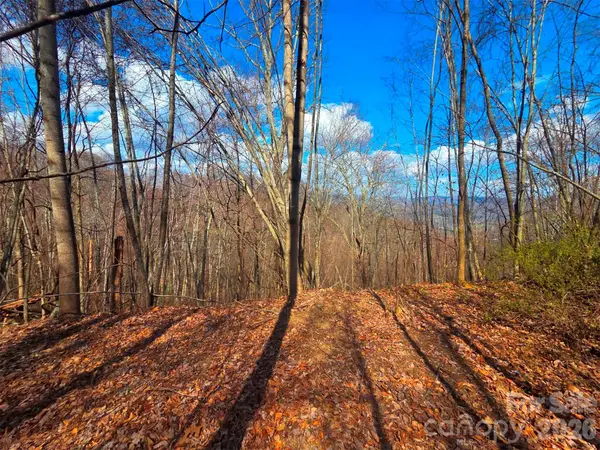 3355 Utah Mountain Road #3-F, Waynesville, NC 28785