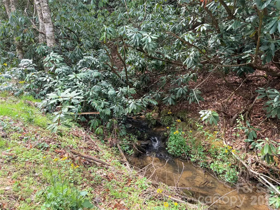 00 White Oak Road, Waynesville, NC 28785 - #3