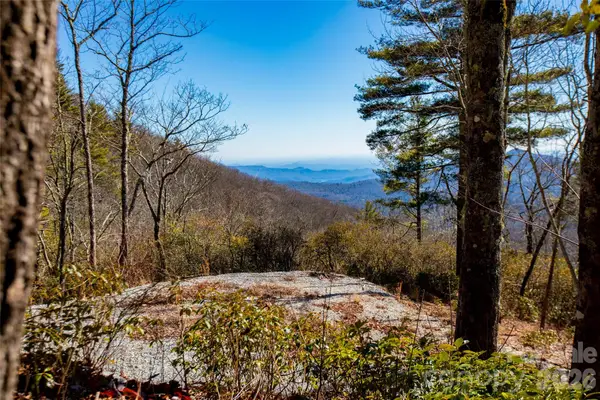 Lot 19 W Whitetail Drive, Sapphire, NC 28774