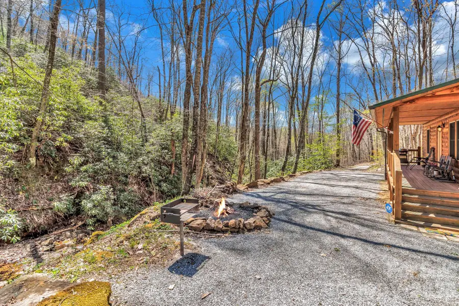 1100 Panther Branch Road, Canton, NC 28716 - #3