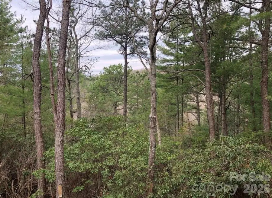 475 Bear Cub Drive, Spruce Pine, NC 28777 - #2