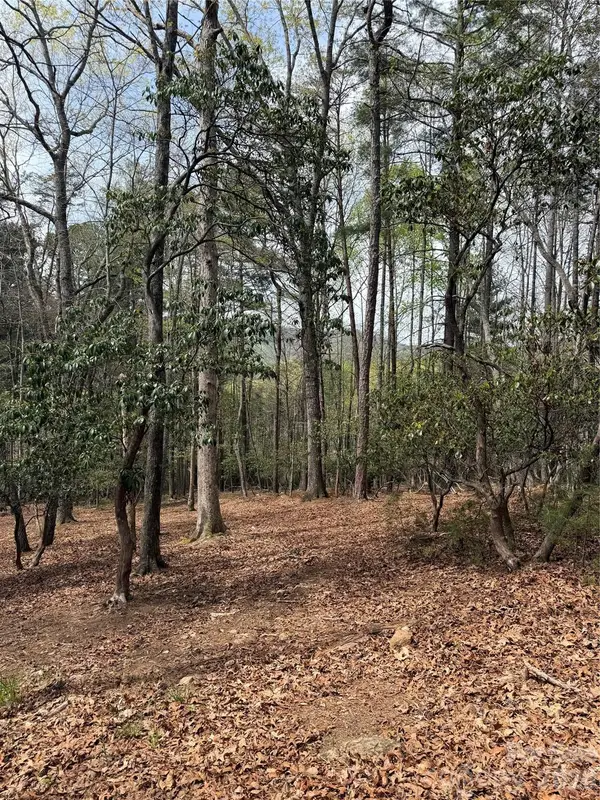 1553 Country View Way, Arden, NC 28704