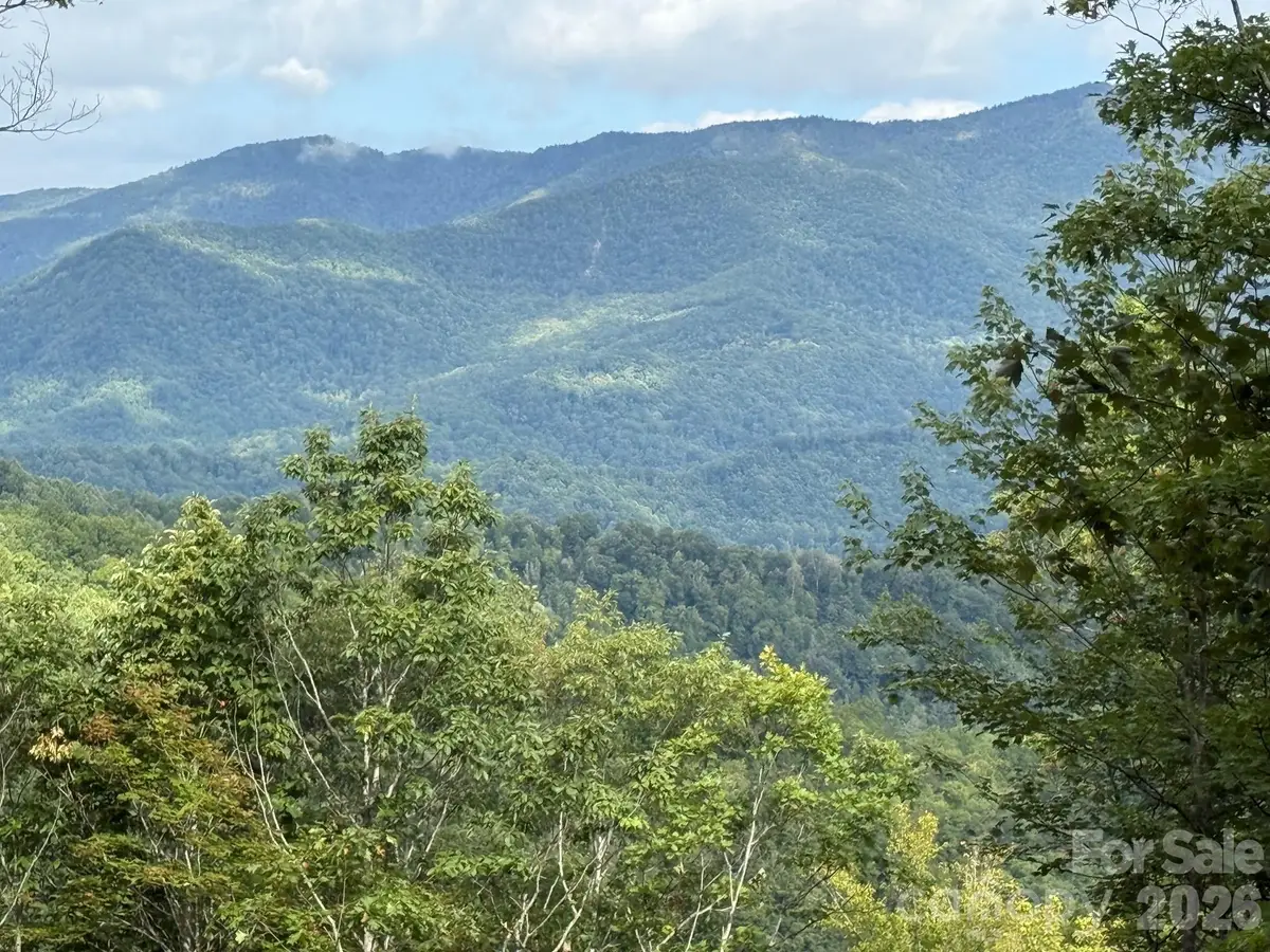 LT 262 Tote Road #262, Sylva, NC 28779 - #1