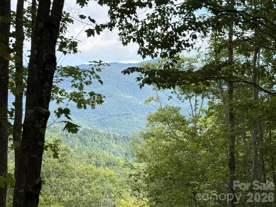 LT 262 Tote Road #262, Sylva, NC 28779 - #2