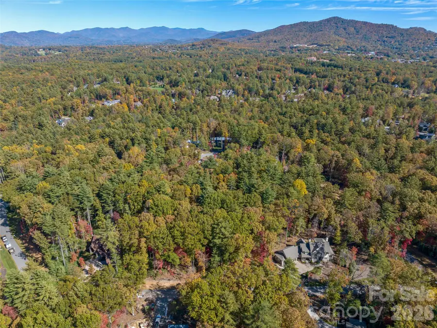 75 Emerald Necklace Drive #411, Asheville, NC 28803 - #2