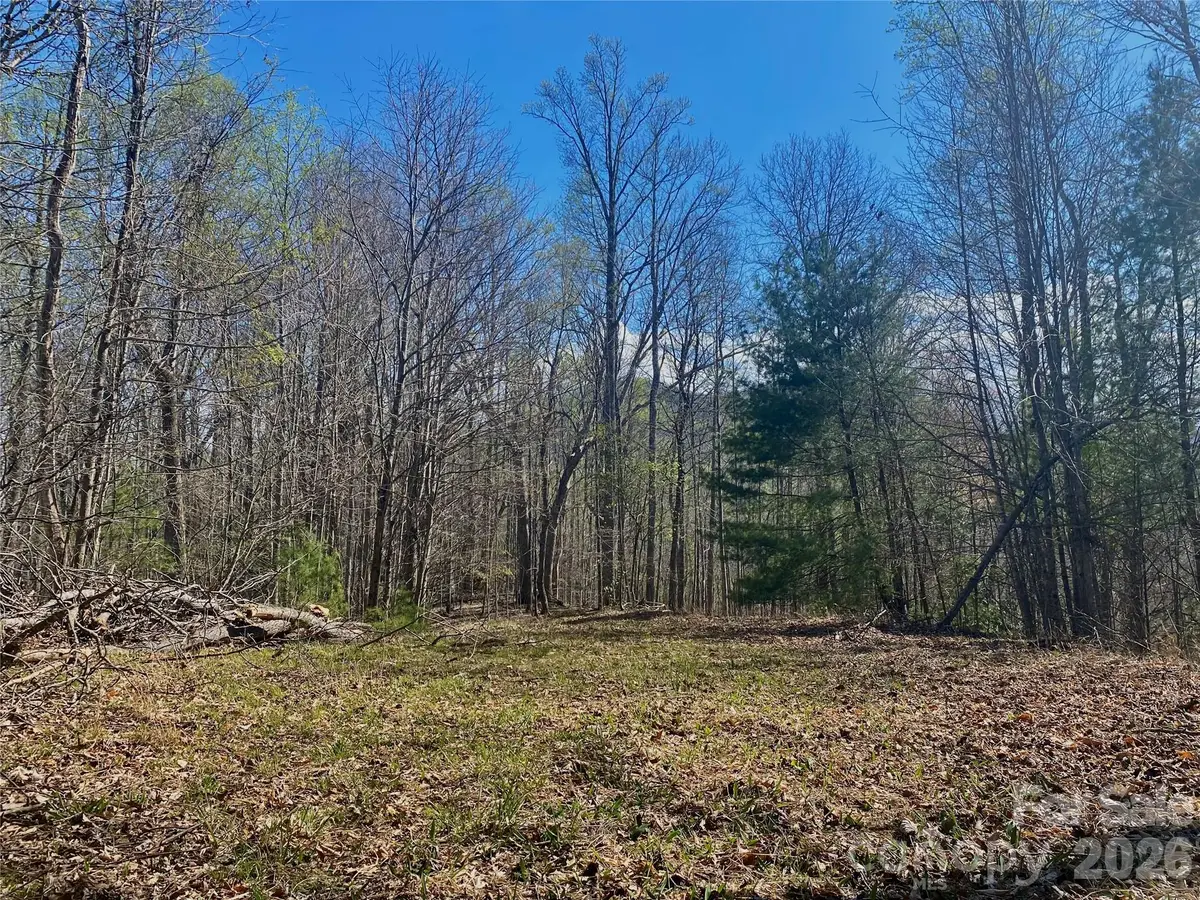 00 Scenic View Drive #1 & 2, Green Mountain, NC 28740 - #1