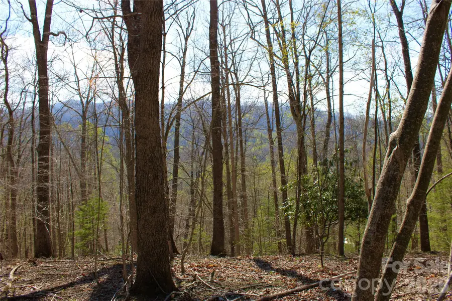00 Scenic View Drive #1 & 2, Green Mountain, NC 28740 - #3