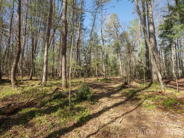 137 Nancy Ashworth Lane #13, Fairview, NC 28730