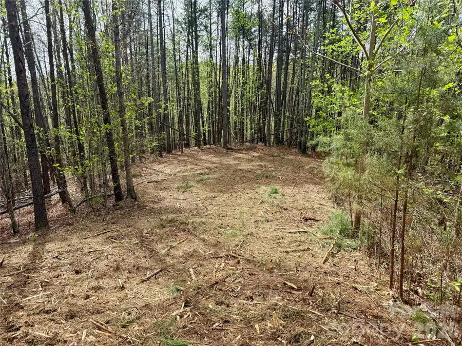 Lot 488 Bella Vista Way #488, Nebo, NC 28761 - #3