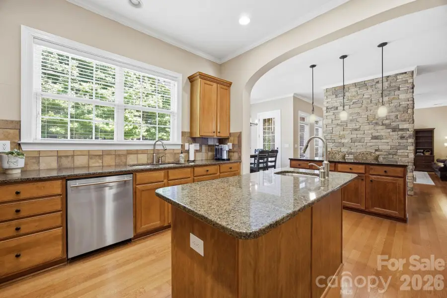 204 Black Mountain Drive, Fort Mill, SC 29708 - #3