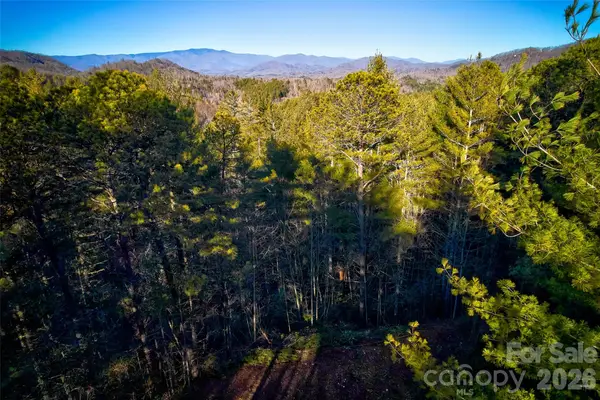 00 Piney Cove Road, Bryson City, NC 28713