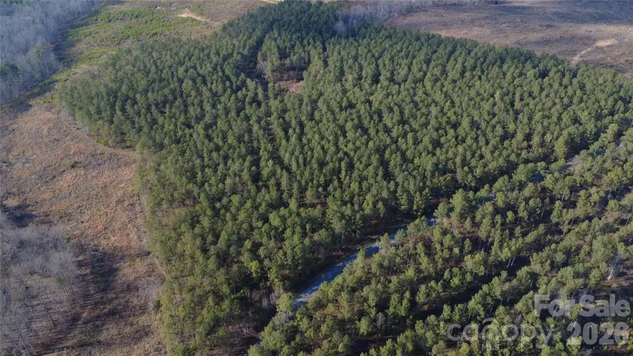 00 Peter Hawk Creek Road #13, Jonesville, SC 29353 - #3