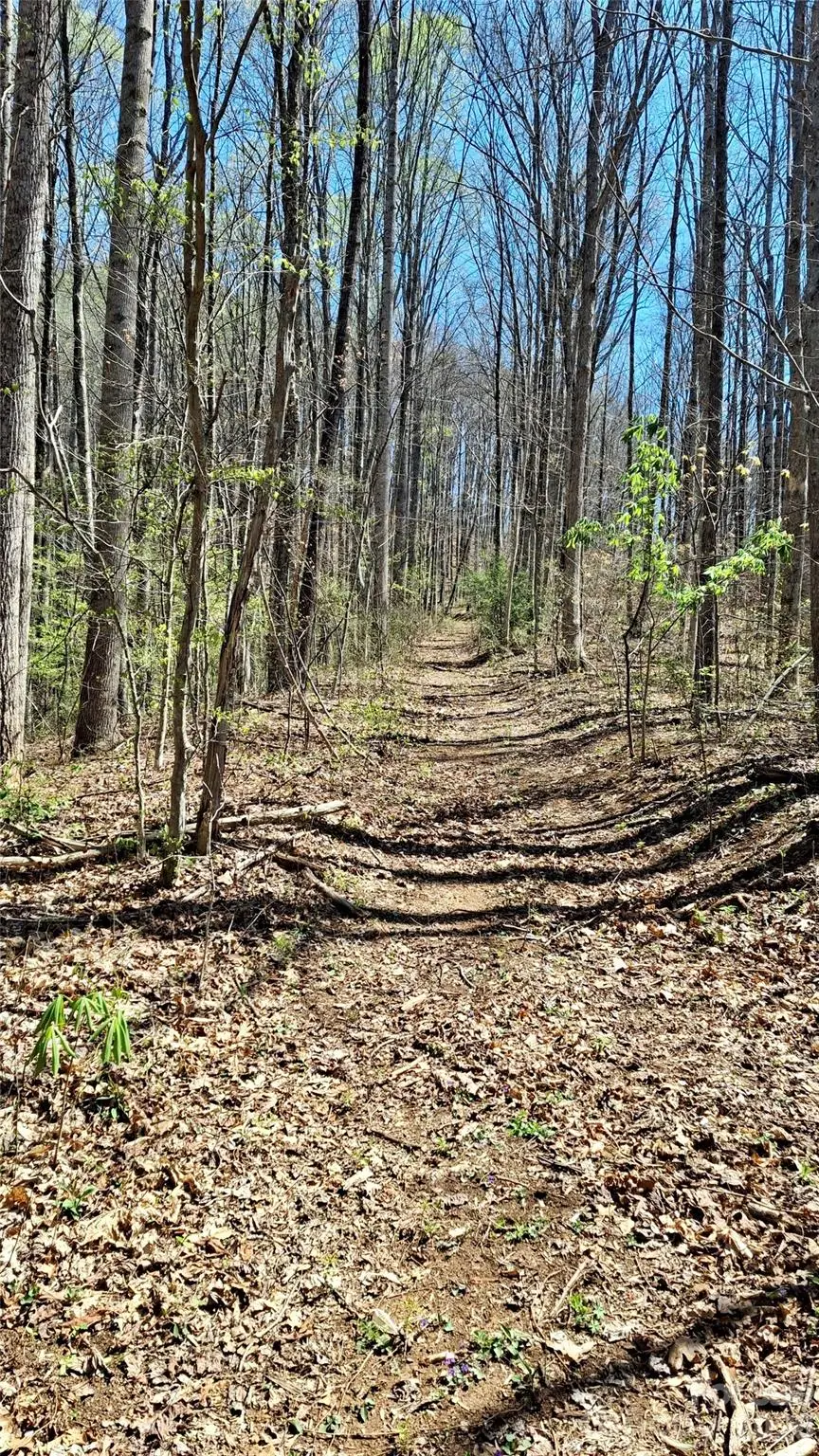 00 Maynor Drive, Sylva, NC 28779 - #3