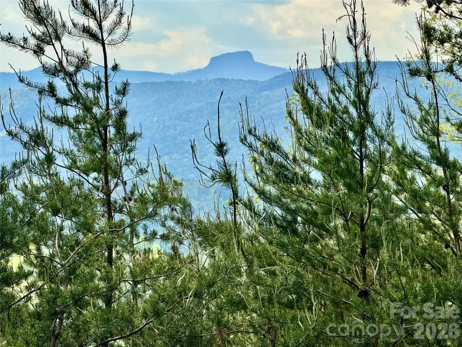 Lot 161/162 Rocky Falls Lane #161/162, Lenoir, NC 28645 - #2