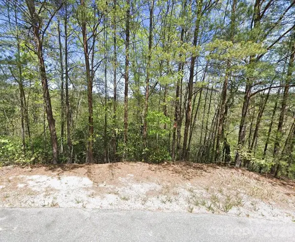 595 Quail Ridge Boulevard, Lake Lure, NC 28746