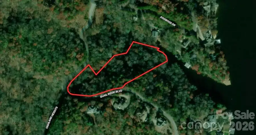 595 Quail Ridge Boulevard, Lake Lure, NC 28746 - #2