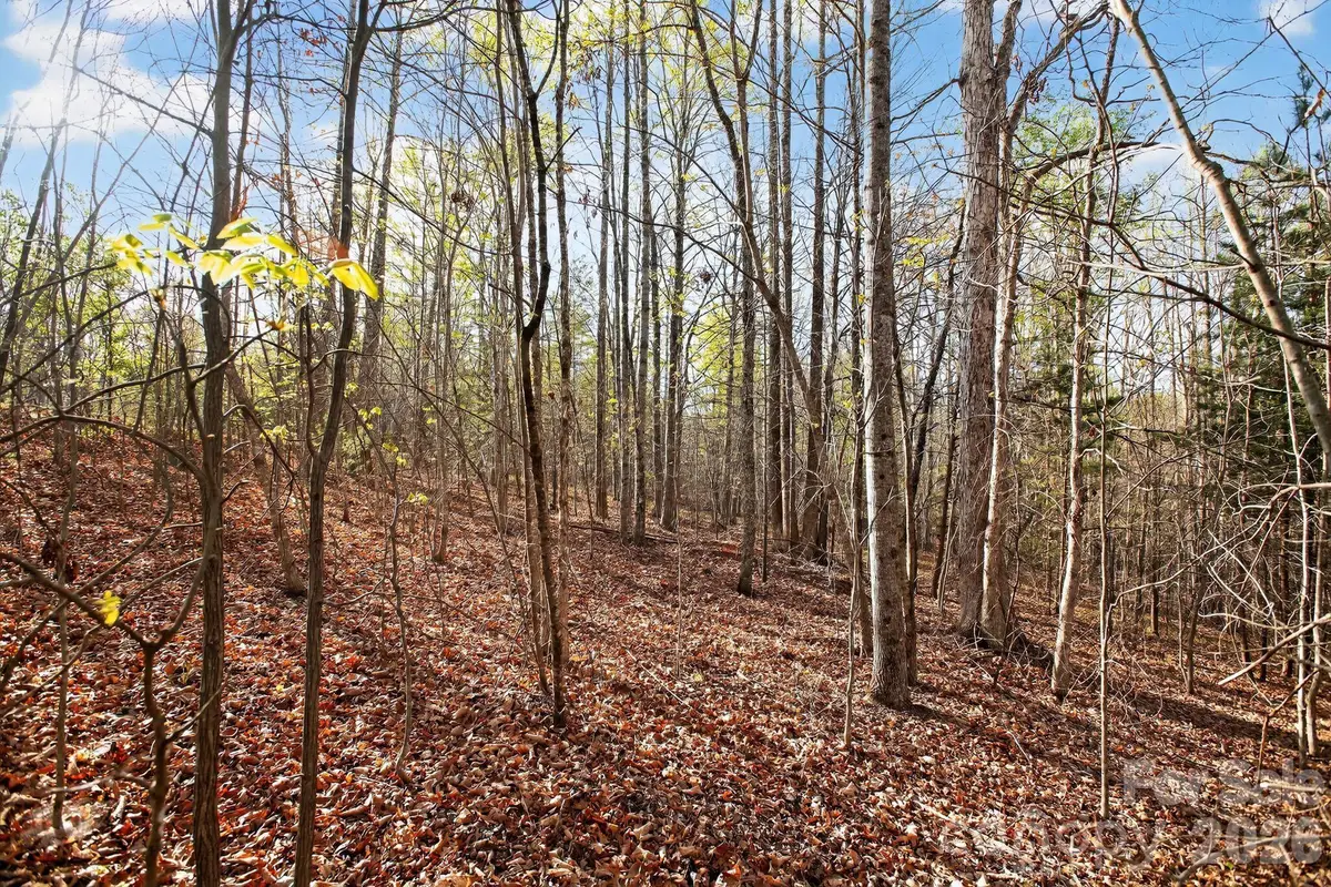 Lot 62 Dirksen Avenue, Dysartsville, NC 28655 - #1