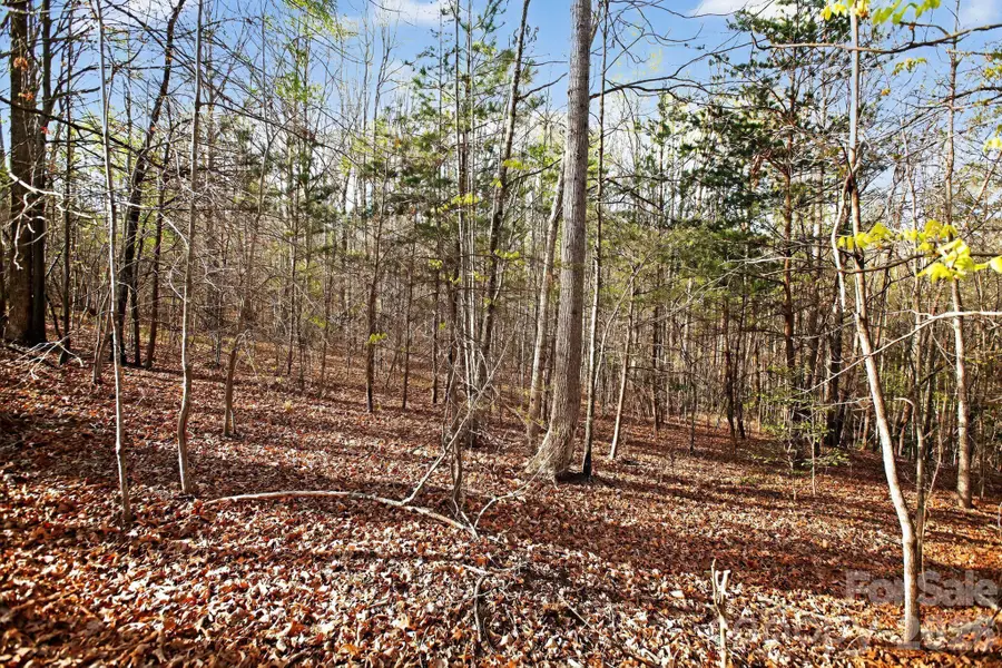 Lot 62 Dirksen Avenue, Dysartsville, NC 28655 - #3