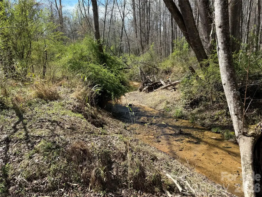 00000 Davids Chapel Church Road, North Brook, NC 28168 - #2