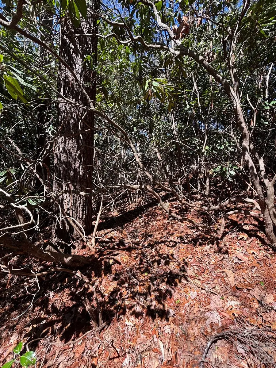 TBD Top Of The Mountain Road, Penrose, NC 28766 - #2