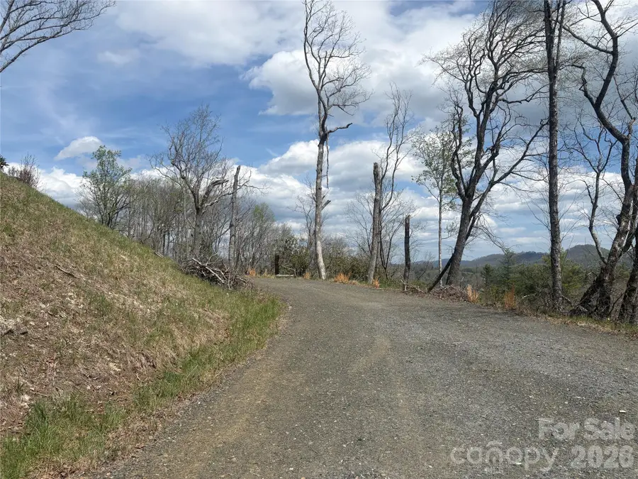 TBD Swiss Pine Lake Drive #117, Spruce Pine, NC 28777 - #3