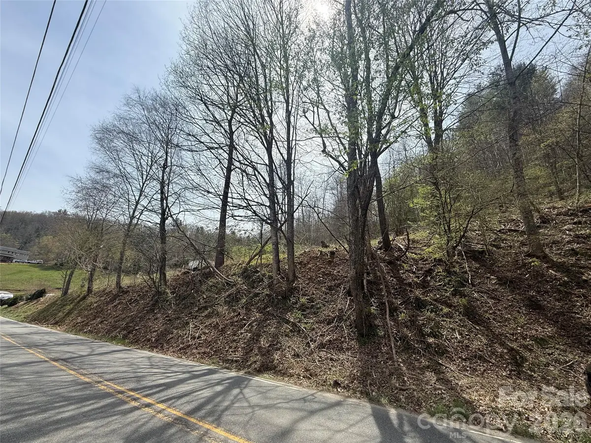0 Hortons Creek Road, Burnsville, NC 28714 - #1
