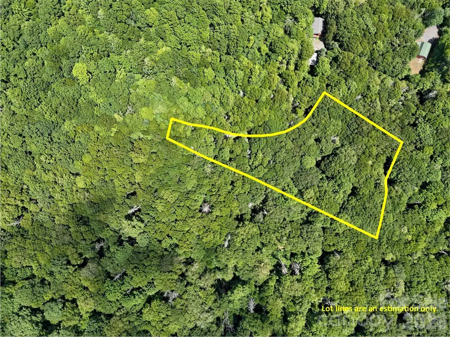 Lot #60 Yonder Trail, Maggie Valley, NC 28751 - #2