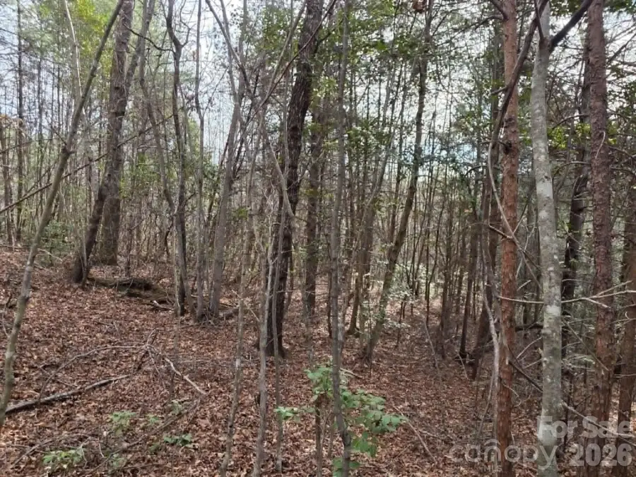 Lot 6 Kerlee Lane, Old Fort, NC 28762 - #2