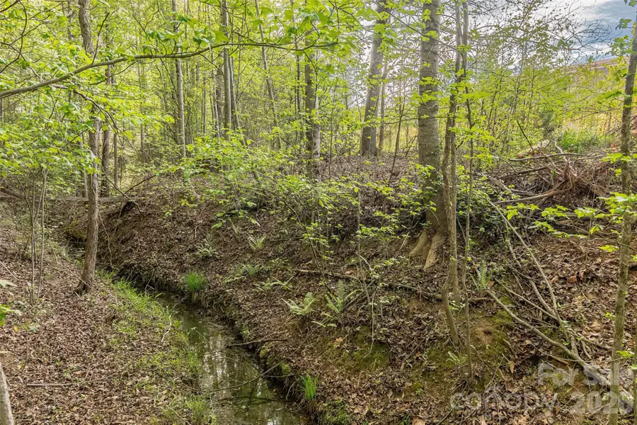 482 Jm Lovelace Road, Ellenboro, NC 28040 - #2