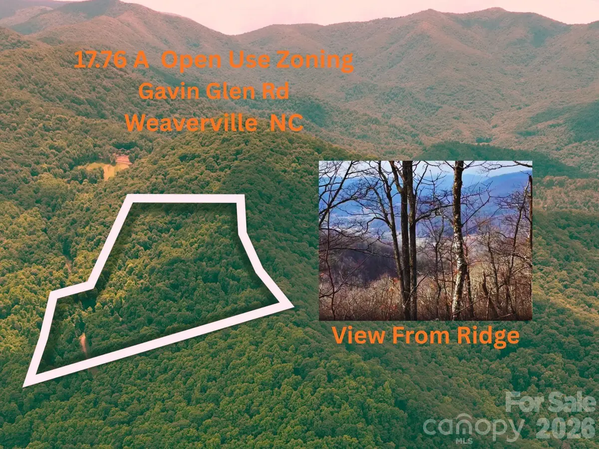 135 Gavin Glen Road, Weaverville, NC 28787 - #1