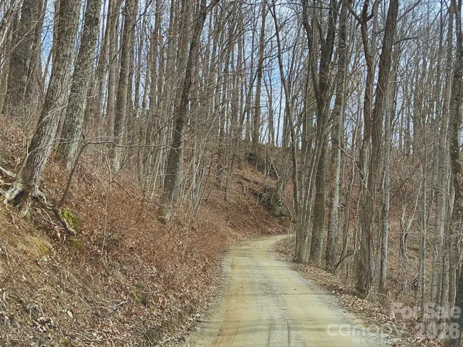 135 Gavin Glen Road, Weaverville, NC 28787 - #3