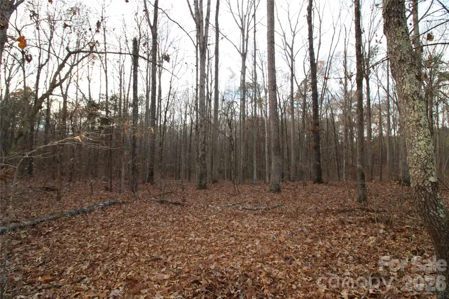 3+/-AC Lot 4 Pioneer Road, York, SC 29745 - #2