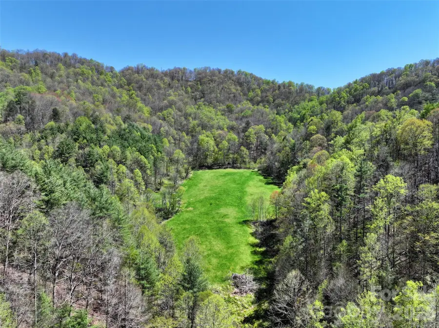 2180 Pigeon Roost Road, Green Mountain, NC 28740 - #3