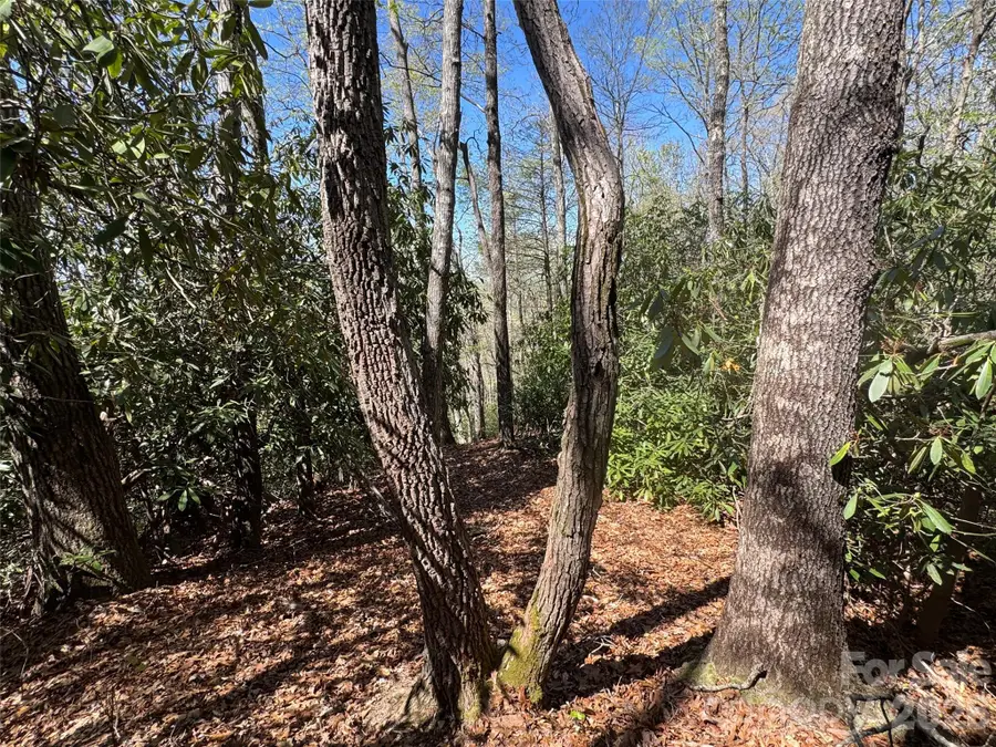 33 Reserve Road #33, Pisgah Forest, NC 28768 - #3