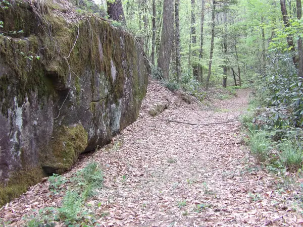 00000 Barlowe Place, Lenoir, NC 28645