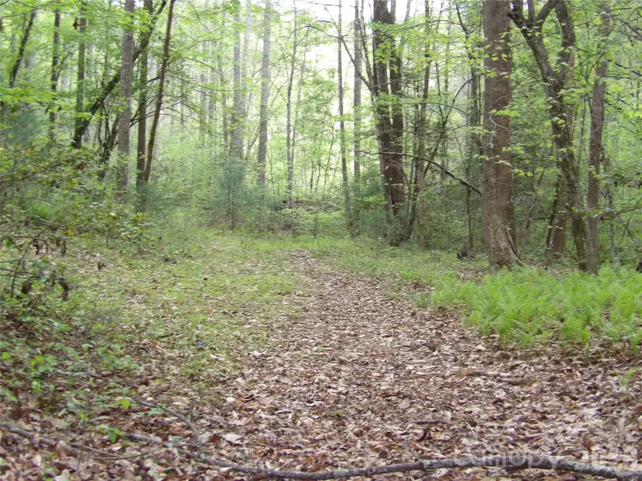 00000 Barlowe Place, Lenoir, NC 28645 - #2