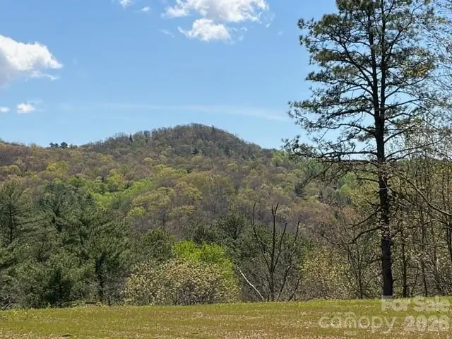 181 Pathkiller Road, Lake Toxaway, NC 28747 - #1