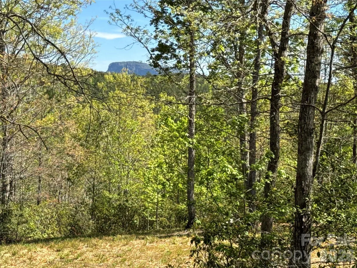 284 Bear Cliff Circle, Nebo, NC 28761 - #1