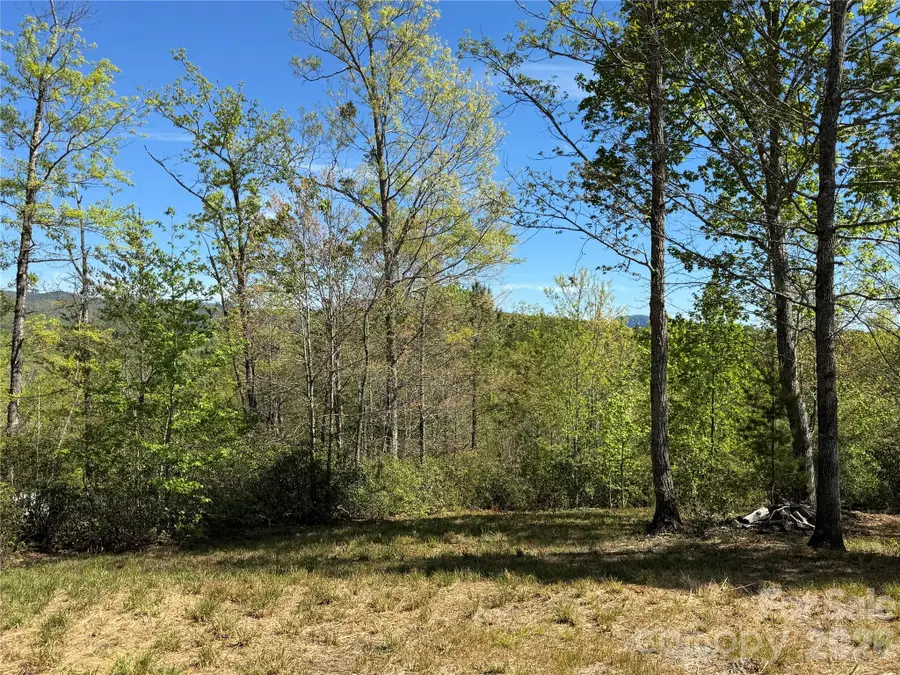 284 Bear Cliff Circle, Nebo, NC 28761 - #2