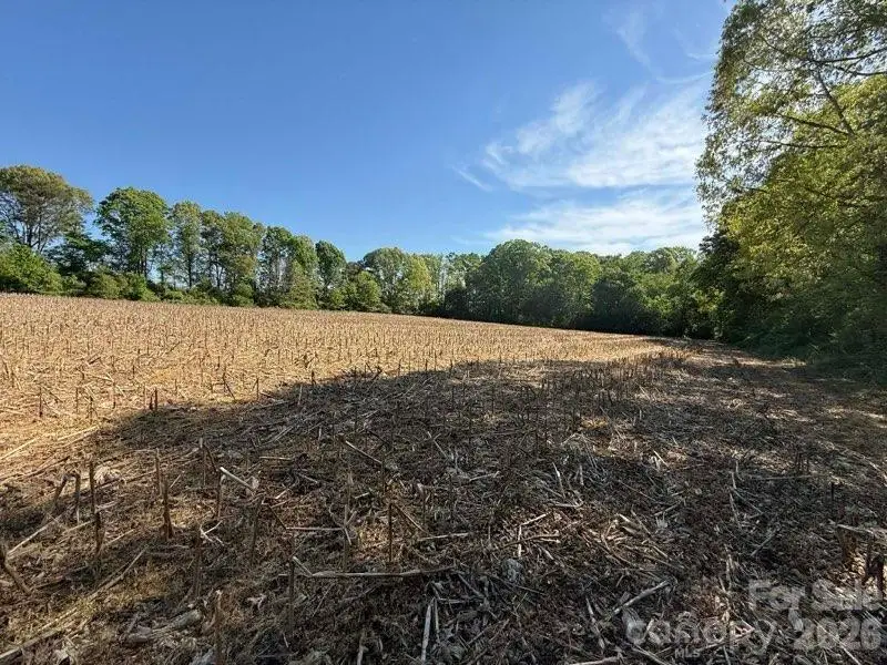 1828 Casstevens Road, Yadkinville, NC 27055 - #2