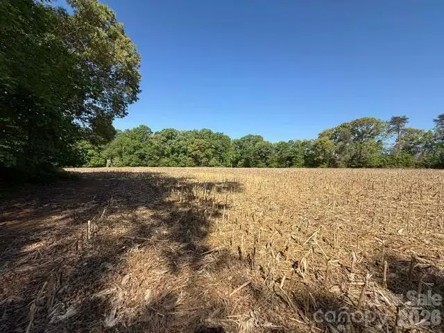 1828 Casstevens Road, Yadkinville, NC 27055 - #3