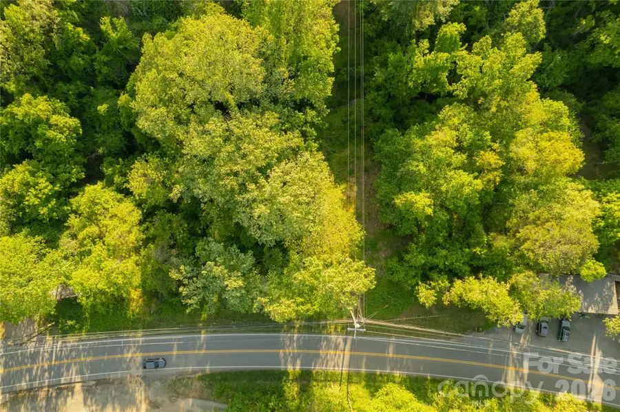 438 Weaverville Road, Asheville, NC 28804 - #2
