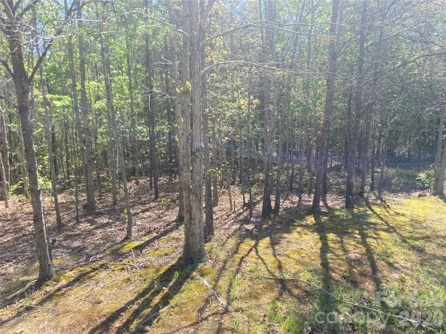 4209 Bennett Road, Morganton, NC 28655 - #3