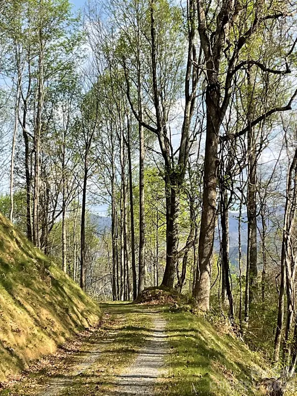 1414 Easy Wind Drive #56, Swannanoa, NC 28778