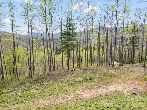 00 Willow Lane, Robbinsville, NC 28711