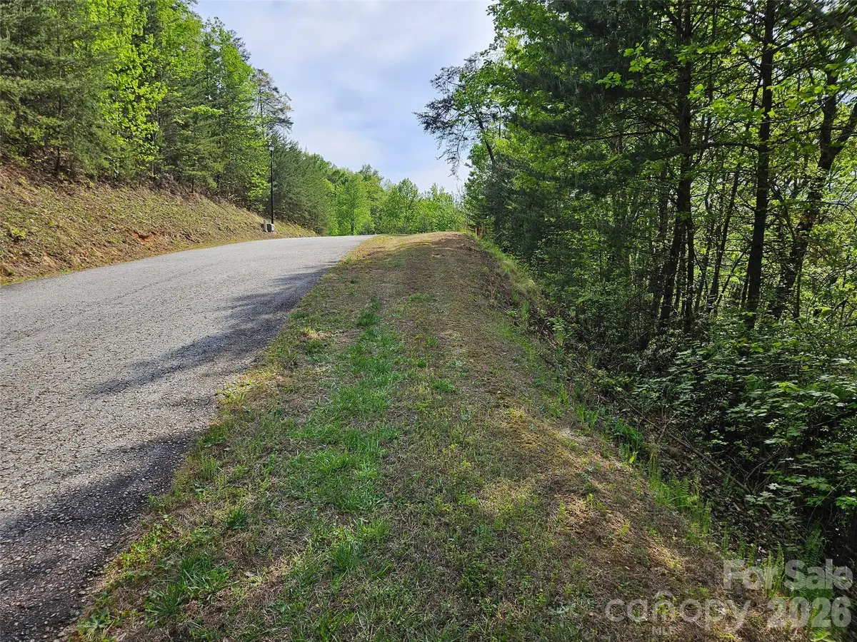 0 High Pines Loop #101, Lake Lure, NC 28746 - #1